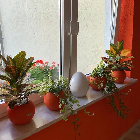 ゲストハウス Pensionett 3*