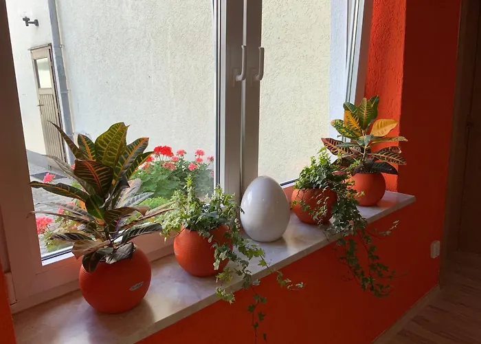 Casa de hóspedes Pensionett 3*