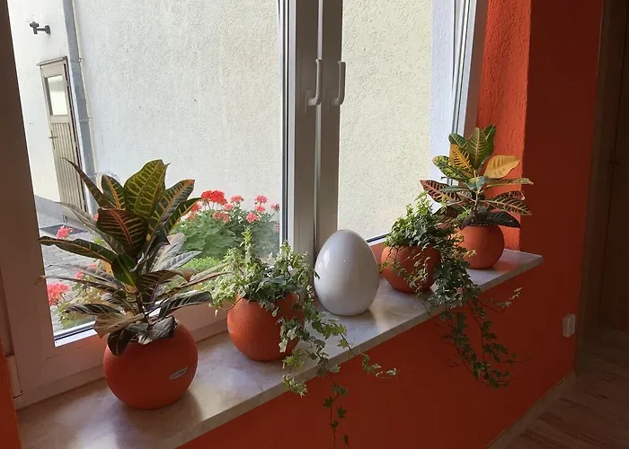 Casa de hóspedes Pensionett Bernburg